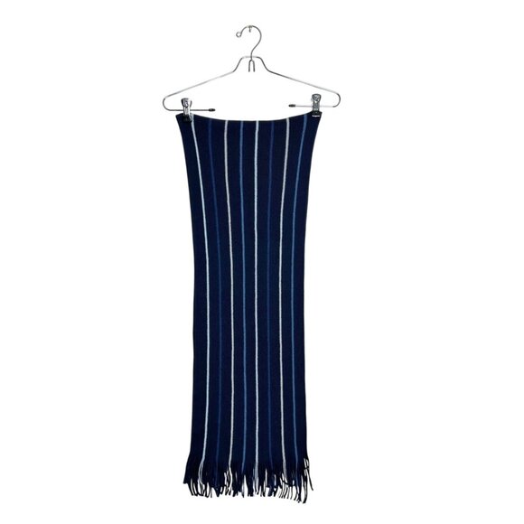 Chelsey by Joseph 100% Wool Striped Scarf in Blue - Picture 1 of 4